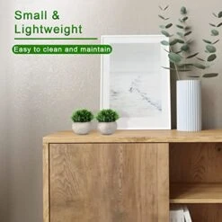 THE BLOOM TIMES 4 Packs Mini Potted Fake Plants For Bathroom/Home Office Decor, Small Artificial Plants In Pots Faux Greenery For House Decorations -Artificial Trees Store 41uI7A4lijL