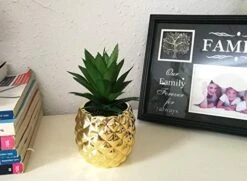 Golden Pineapple Ananas Potted Artificial Succulents Faux Plants Home Office Tabletop Decoration (Gold) 17 Golden Pineapple Ananas Potted Artificial Succulents Faux Plants Home Office Tabletop Decoration (Gold) -Artificial Trees Store 41uN1Cwa9KL