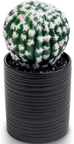 SEEKO Fake Cactus For Home Décor 11" - Artificial Faux Cactus For Southwest, Office, Desk, Shelf - Indoor Fake Plants - White Décor Accents - Modern Farmhouse Decor  -Artificial Trees Store 41umE0Ly1rL. AC