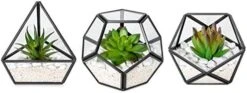 Mkono Artificial Succulent In 3 Pack Mini Glass Geometric Terrarium, Miniature Potted Faux Plant Bookshelf Desk Boho Office Room Decor For Women Girls Dorm Gift Idea, Black -Artificial Trees Store 41utwzXCaL. AC