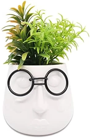 ALIWINER Artificial Succulents Plants With Ceramic Pot Decor Figurines Living Room Decor Home Decoration 9 ALIWINER Artificial Succulents Plants With Ceramic Pot Decor Figurines Living Room Decor Home Decoration - Image 7