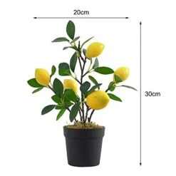 UNIE Artificial Lemon Topiary Mini Tree Potted Fake Plants In Pot For Home Office Decorations -Artificial Trees Store 41v2kUAPYXL