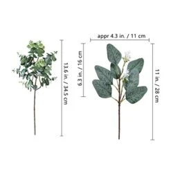 Winlyn 20 Pcs Mixed Eucalyptus Leaves Stems Bulk Artificial Oval Eucalyptus Leaves With White Seeds Stems And Eucalyptus Leaves Sprays For Vase Floral Wreath Bouquets Wedding Greenery Decoration