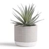 Kurrajong Farmhouse Faux Plant In Pot - 8" X 4.5" | Beautiful Faux Succulent Plant Decor | Artificial Succulent Plants | Faux Plants Indoors -Artificial Trees Store 41vGF1aEG4L