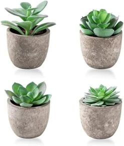 Jelofly Fake Plants Artificial Succulent Plants Assorted Decorative Faux Succulent Potted Fake Cactus Cacti Plants Gray Pots, Set Of 5 -Artificial Trees Store 41vIiFQKgL. AC