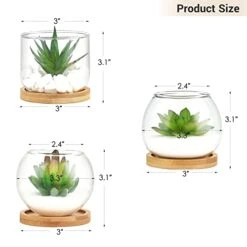 Mkono Artificial Succulent In Clear Glass Pot, Set Of 3 Mini Potted Fake Plants For Women Office Decor Small Faux Green Plant With BambooTray For Bookshelf Bathroom Kitchen Decor Tabletop Centerpiece -Artificial Trees Store 41vIsgCw2mL