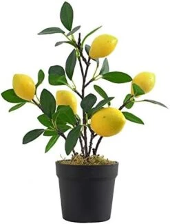 UNIE Artificial Lemon Topiary Mini Tree Potted Fake Plants In Pot For Home Office Decorations -Artificial Trees Store 41vJL5WEaL. AC