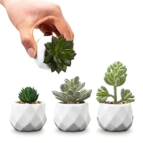MyGift Set Of 4 Mini Assorted Artificial Succulent Fake Plants In Modern White Textured Ceramic Plant Pots 7 MyGift Set Of 4 Mini Assorted Artificial Succulent Fake Plants In Modern White Textured Ceramic Plant Pots - Image 5