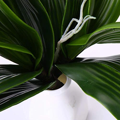 VOSAREA Artificial Orchid Leaves Fake Orchid Leaf Artificial Orchid Plant Fake Flower Leaf Home Office Wedding Christmas Decoration 2pcs Orchids Flowers Decoration Orchid Leaves Artificial 4 VOSAREA Artificial Orchid Leaves Fake Orchid Leaf Artificial Orchid Plant Fake Flower Leaf Home Office Wedding Christmas Decoration 2pcs Orchids Flowers Decoration Orchid Leaves Artificial - Image 2
