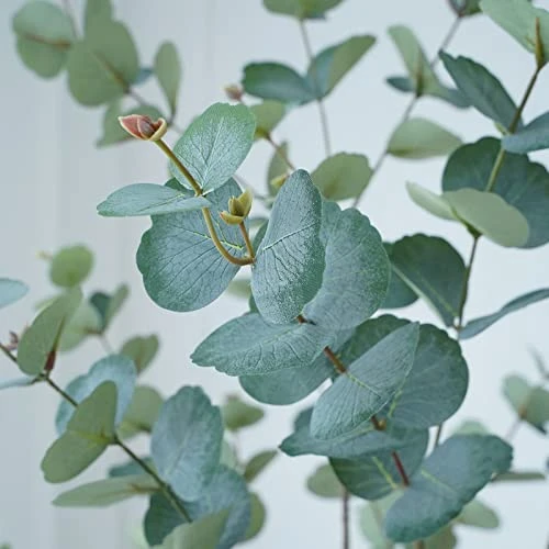 CHUVIM Artificial Eucalyptus Tree 6FT Tall Fake Silver Dollar Leaves Faux Eucalyptus Stems, Mordern Artificial Tree Plants For Home, Office, Courtyard Decor, Perfect Housewares Gift 4 CHUVIM Artificial Eucalyptus Tree 6FT Tall Fake Silver Dollar Leaves Faux Eucalyptus Stems, Mordern Artificial Tree Plants For Home, Office, Courtyard Decor, Perfect Housewares Gift - Image 2