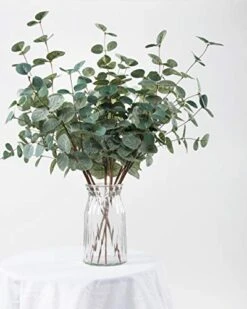 Miracliy 6 PCS Artificial Eucalyptus Leaves Greenery Stems Faux Silk Silver Dollar Eucalyptus Leaf Branches Green Bulk For Home Party Wedding Decoration -Artificial Trees Store 41x95I9eBJL