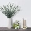 Tiyard 12pcs Eucalyptus Stems 18" Tall Artificial Eucalyptus Leaves Greenery Decor Faux Eucalyptus Real Touch For Wedding Bouquet Centerpiece Home Decor 2 Tiyard 12pcs Eucalyptus Stems 18" Tall Artificial Eucalyptus Leaves Greenery Decor Faux Eucalyptus Real Touch For Wedding Bouquet Centerpiece Home Decor -Artificial Trees Store 41xaIrrVcJL