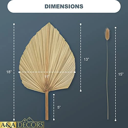 GENERIC Dried Palm Leaves - 3 Pcs Stunning Dried Palm Leaf And 15Pcs Bunny Tails Dried Flowers | Gorgeously Thick Dried Palm Leaves Decor And Bunny Tail For Wedding, Home And Boho Decor | 18 Inch 5 GENERIC Dried Palm Leaves - 3 Pcs Stunning Dried Palm Leaf And 15Pcs Bunny Tails Dried Flowers | Gorgeously Thick Dried Palm Leaves Decor And Bunny Tail For Wedding, Home And Boho Decor | 18 Inch - Image 3