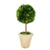 Natural Preserved Boxwood Topiary In Pot 9 Inch Stunning Greenery And Plant Decor Great For Home Office Bar Shop Decoartion Christmas Topiary Decor GIFS For Family, New House(9 Inch Tall/4 Inch Wide) 1 Natural Preserved Boxwood Topiary In Pot 9 Inch Stunning Greenery And Plant Decor Great For Home Office Bar Shop Decoartion Christmas Topiary Decor GIFS For Family, New House(9 Inch Tall/4 Inch Wide) -Artificial Trees Store 41yYZ63A5HL