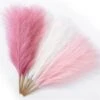 Serwalin Pampas Grass Pink 17.7 Inch 6pcs, Artificial Pampas Grass Faux Pink Pompas Grass Decor, Short Pompous Grass Blush Room Decoration, Wedding Centerpieces Mothers Day Pink Home Decor -Artificial Trees Store 41ywu5nYI8L