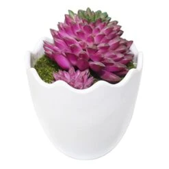 Myartte Artificial Succulent Plants Fake Succulents Mini Faux Plants For Home/Office Docor (Resin Pots) … 13 Myartte Artificial Succulent Plants Fake Succulents Mini Faux Plants For Home/Office Docor (Resin Pots) … -Artificial Trees Store 41z8g4lyNYL