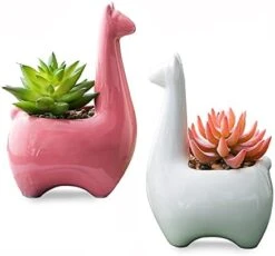 Tenforie Artificial Plant Pots, Ceramic Potted Artificial Succulent Decoration Alpaca Fake Plant Home Decor Tabletop Office Desk Outdoor Decoration - A -Artificial Trees Store 41z9tI7qDNS. AC