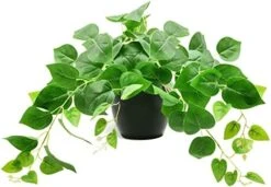 Tiita 2 Pack Fake Plants Artificial Scindapsus Aureus In Pots, Realistic Fake Greenery Potted Plants For Home Office Desk Window Sill Bathroom Bedroom Outdoor Indoor -Artificial Trees Store 41zV2XZ IoL. AC