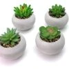 Artificial Succulent Plants In Cement Pots, Set Of 4 - Realistic Faux Potted Plant For Home, Apartment, Or Office - Decorative Fake Succulents - For Desk, Bookshelf, Or Kitchen 1 Artificial Succulent Plants In Cement Pots, Set Of 4 - Realistic Faux Potted Plant For Home, Apartment, Or Office - Decorative Fake Succulents - For Desk, Bookshelf, Or Kitchen -Artificial Trees Store 41zWgddzmhL