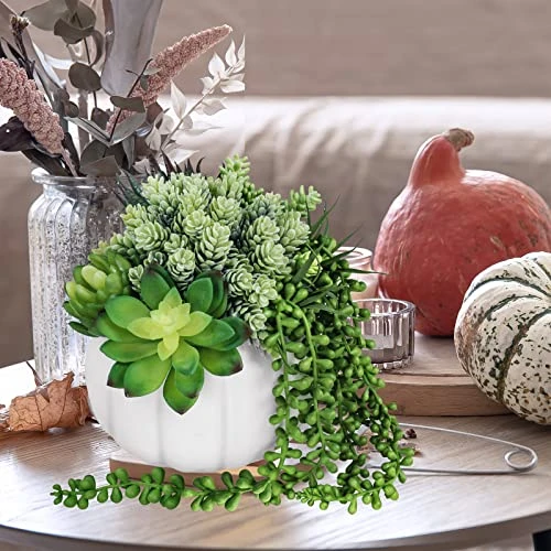 White Fall Pumpkin Centerpiece Artificial Succulent Pumpkin Arrangement With Assorted String Of Pearls Succulents For Fall Thanksgiving Gifts Home Wedding Table Mantel Windowsill Shelf Decor 7 White Fall Pumpkin Centerpiece Artificial Succulent Pumpkin Arrangement With Assorted String Of Pearls Succulents For Fall Thanksgiving Gifts Home Wedding Table Mantel Windowsill Shelf Decor - Image 5