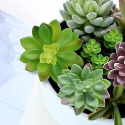 Anoak Artificial Succulent Plants - 16 Pcs Set Faux Succulents Unpotted Fake Succulent Plants, Premium Crafting DIY Floral Decor For Home Garden Office Party (High Realistic) -Artificial Trees Store 5108ZGAxozL