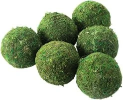 10Pack Decorative Faux Dried Moss Balls And 8Pack Wicker Rattan Balls- Artificial Green Plant Mossy Wicker Rattan Cord Balls Set For Summer Vase Dough Bowl Filler Home Garden Party Wedding Display -Artificial Trees Store 510Awn4d3sL. AC