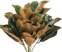 Factory Direct Craft Artificial Magnolia Leaf Bush Realistic Faux Magnolia Leaves For Natural Look Greenery In Floral Designs, Wedding Decor, Home Decor, And Holiday Decorating 30 Factory Direct Craft Artificial Magnolia Leaf Bush Realistic Faux Magnolia Leaves For Natural Look Greenery In Floral Designs, Wedding Decor, Home Decor, And Holiday Decorating -Artificial Trees Store 510GgKqf7CL. AC