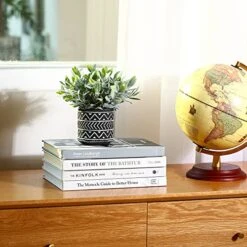 Kazeila 3 Pack Artificial Potted Plants,Fake Snake Plant,Greenery Eucalyptus Leaves And Flocked Sage Plant,Faux Desk Plants For Indoor Home Office Farmhouse Kitchen Bathroom Table Decor 8 Kazeila 3 Pack Artificial Potted Plants,Fake Snake Plant,Greenery Eucalyptus Leaves And Flocked Sage Plant,Faux Desk Plants For Indoor Home Office Farmhouse Kitchen Bathroom Table Decor -Artificial Trees Store 510JZLr1J6L