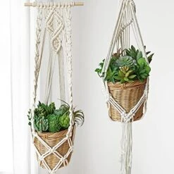 Winlyn 20 Pcs Assorted Artificial Succulents Plants Unpotted Small Green Cactus Echeveria Air Plant Picks Fake Succulents Bulk For Succulent Garden Wreath Floral Arrangement Indoor Outdoor Home Decor -Artificial Trees Store 510jRm93X1L