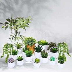Winlyn 19 Pcs Assorted Artificial Succulents Plants Unpotted Small Green Hanging Succulent Aloe Fake Cacti Succulents Bulk For Succulent Garden Centerpiece Wreath Arrangement Indoor Outdoor Home Decor -Artificial Trees Store 510o7UIZbyL
