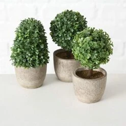 WHW Whole House Worlds Realistic Faux Boxwood Sculptural Topiary, Set Of 3, Curly Leaf, Cone And Ball Tops, Gray Stone Pot, Each 5.5 Inches Tall, Mixed Materials -Artificial Trees Store 510r2cDp3lL