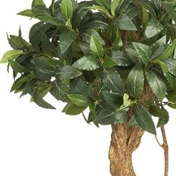 Nearly Natural 5233 Sweet Bay Double Ball Topiary Silk Tree, 4-Feet, Green,49.5" X 9" X 9" -Artificial Trees Store 510xbJQjNDL