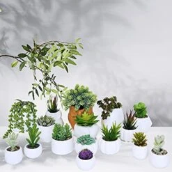 Winlyn 16 Pcs Artificial Succulents Plants Unpotted Small Hanging String Of Pearls Aloe Hops Cactus Green Fake Succulents For Succulent Garden Arrangement Centerpiece Wall Indoor Outdoor Home Decor -Artificial Trees Store 5111qIh9ZZL