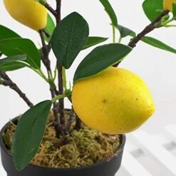 UNIE Artificial Lemon Topiary Mini Tree Potted Fake Plants In Pot For Home Office Decorations