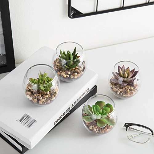 MyGift Assorted Artificial Succulent Fake Plant In Small Clear Glass Display Vases, Set Of 4 4 MyGift Assorted Artificial Succulent Fake Plant In Small Clear Glass Display Vases, Set Of 4 - Image 2