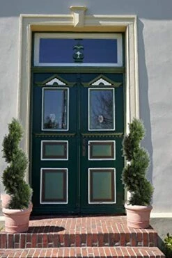 3 Foot Topiary Tree Artificial Plants Cypress Leave Spiral Plant Faux Fake Spiral Trees For Decor In Plastic Pot Green, 35Inchs- Set Of 2 -Artificial Trees Store 5118QTpS5WL