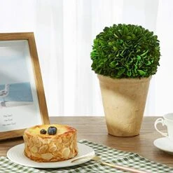 Boxwoodworld Preserved Boxwood Green Plant For Home Decor Classic Ball On Pot Design 10 Inch Hight (boxwood Leaves) -Artificial Trees Store 511EoKzfivL