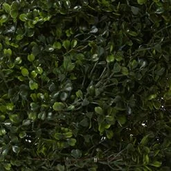 Silk Decor 6-Feet Pond Boxwood Spiral Topiary Plant, Green -Artificial Trees Store 511Tq4fhceL