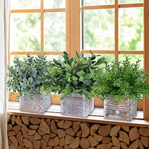 Set Of 3 Assorted Small Potted Plants Fake Eucalyptus Plants And Rosemary Plant In Rustic Wooden Planters For Mother Gifts Farmhouse Table Centerpiece Bathroom Shelf Office Desk Indoor Greenery Decor 5 Set Of 3 Assorted Small Potted Plants Fake Eucalyptus Plants And Rosemary Plant In Rustic Wooden Planters For Mother Gifts Farmhouse Table Centerpiece Bathroom Shelf Office Desk Indoor Greenery Decor - Image 3