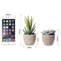 Jelofly Fake Plants Artificial Succulent Plants Assorted Decorative Faux Succulent Potted Fake Cactus Cacti Plants Gray Pots, Set Of 5 -Artificial Trees Store 511YsNpCCDL