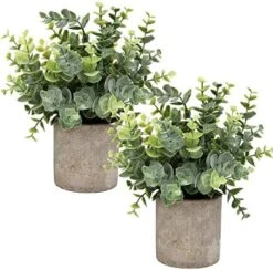 Flojery Mini Potted Plants Artificial Eucalyptus Boxwood Rosemary Greenery In Pots Faux Potted Herbs Small House Plants 8.3"-9" Tall For Indoor Greenery Tabletop Décor Centerpiece (Sprayed Eucalyptus) 13 Flojery Mini Potted Plants Artificial Eucalyptus Boxwood Rosemary Greenery In Pots Faux Potted Herbs Small House Plants 8.3"-9" Tall For Indoor Greenery Tabletop Décor Centerpiece (Sprayed Eucalyptus) -Artificial Trees Store 5121HPyekYL. AC