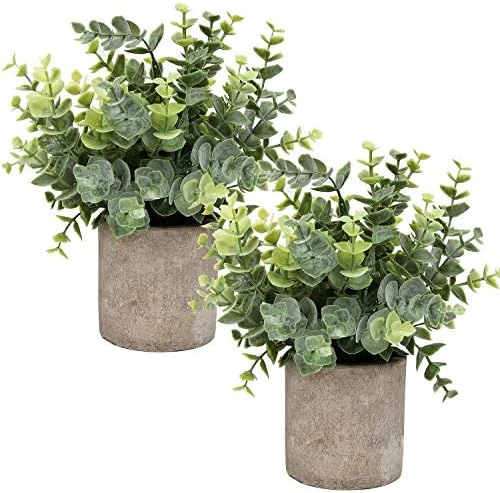 Flojery Mini Potted Plants Artificial Eucalyptus Boxwood Rosemary Greenery In Pots Faux Potted Herbs Small House Plants 8.3"-9" Tall For Indoor Greenery Tabletop Décor Centerpiece (Sprayed Eucalyptus) 8 Flojery Mini Potted Plants Artificial Eucalyptus Boxwood Rosemary Greenery In Pots Faux Potted Herbs Small House Plants 8.3"-9" Tall For Indoor Greenery Tabletop Décor Centerpiece (Sprayed Eucalyptus) - Image 6