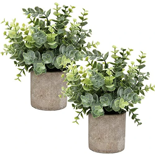 Flojery Mini Potted Plants Artificial Eucalyptus Boxwood Rosemary Greenery In Pots Faux Potted Herbs Small House Plants 8.3"-9" Tall For Indoor Greenery Tabletop Décor Centerpiece (Sprayed Eucalyptus) 3 Flojery Mini Potted Plants Artificial Eucalyptus Boxwood Rosemary Greenery In Pots Faux Potted Herbs Small House Plants 8.3"-9" Tall For Indoor Greenery Tabletop Décor Centerpiece (Sprayed Eucalyptus)