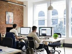 Svenee Mini Artificial Plants, Plastic Fake Green Grass Faux Greenery Topiary Shrubs With Grey Pots For Bathroom Home Office Décor, House Decorations (1) -Artificial Trees Store 512N7qJ6AQL