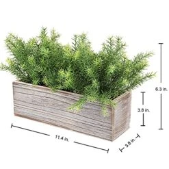 PLANT Artificial Wooden Potted Rosemary Faux Greenery In Wood Planter Box S For Rustic Farmhouse Centerpiece Tabletop Kitchen Shelf Decor -Artificial Trees Store 512TBrKdnUS