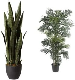 Nearly Natural, Green 4855 35in. Sansevieria With Black Planter & 6ft. Ficus Artificial Trees, 72in, Green -Artificial Trees Store 512WPgsKvcL. AC 1