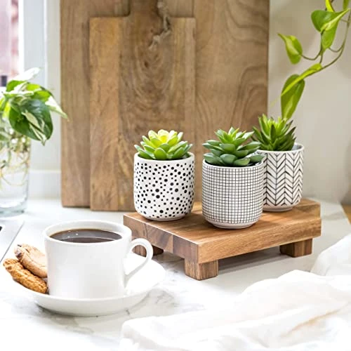 Kurrajong Farmhouse Artificial Succulents In Pots | Set Of 3 Black And White Ceramic Pots With Green Succulents Artificial | Faux Plants Indoor Fake Plants In Pots 4.75" High 6 Kurrajong Farmhouse Artificial Succulents In Pots | Set Of 3 Black And White Ceramic Pots With Green Succulents Artificial | Faux Plants Indoor Fake Plants In Pots 4.75" High - Image 4