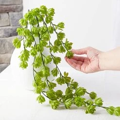 Factory Direct Craft Group Of 4 Green Cascading Artificial Hops Bushes For Home Decor | Indoor Or Outdoor Use | 26" L -Artificial Trees Store 512kG7Np3rL