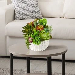 Seeko Artificial Succulents (14 Pack) - Premium Succulent Plants Artificial - Realistic Faux Succulents - Unpotted Textured Fake Succulents Decor For DIY - Fake Plants 10 Seeko Artificial Succulents (14 Pack) - Premium Succulent Plants Artificial - Realistic Faux Succulents - Unpotted Textured Fake Succulents Decor For DIY - Fake Plants -Artificial Trees Store 512yVLzQ5tL