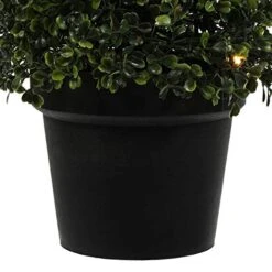 Vickerman Everyday Artificial Pre-Lit Boxwood Topiary Cone 36 Inch Tall - UV Resistant Indoor Outdoor - Potted Natural Green - Faux Tree Decoration Home Patio Entryway 11 Vickerman Everyday Artificial Pre-Lit Boxwood Topiary Cone 36 Inch Tall - UV Resistant Indoor Outdoor - Potted Natural Green - Faux Tree Decoration Home Patio Entryway -Artificial Trees Store 5131bEwvejL